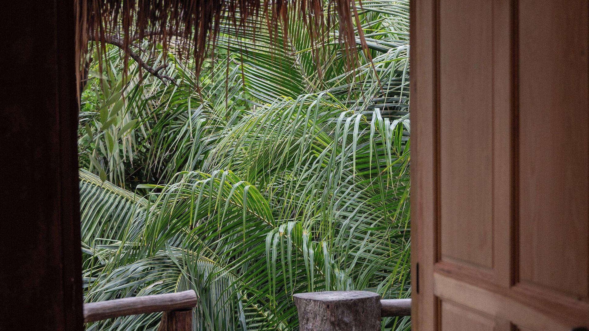 Casa Coyote Hotel 3*