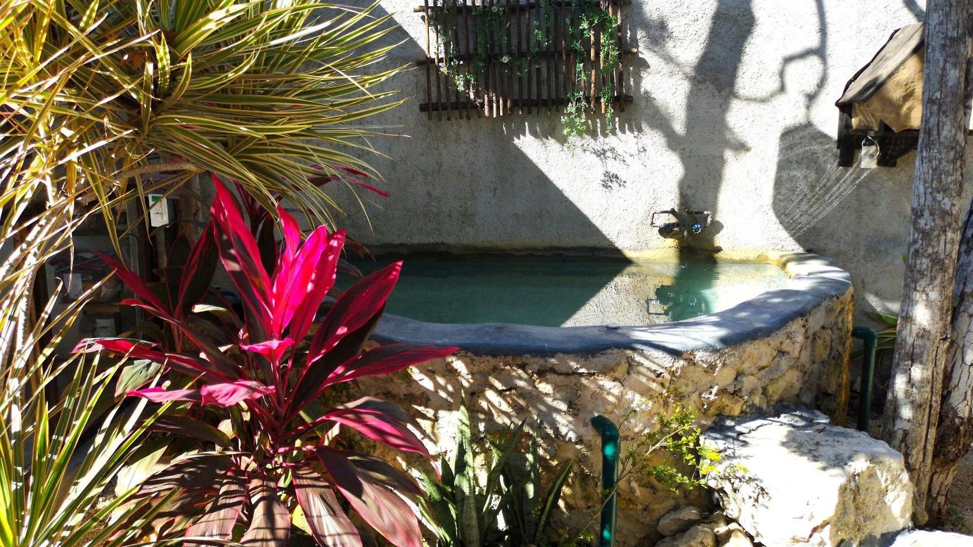 Awa Eco Retreat Tulum Tulum