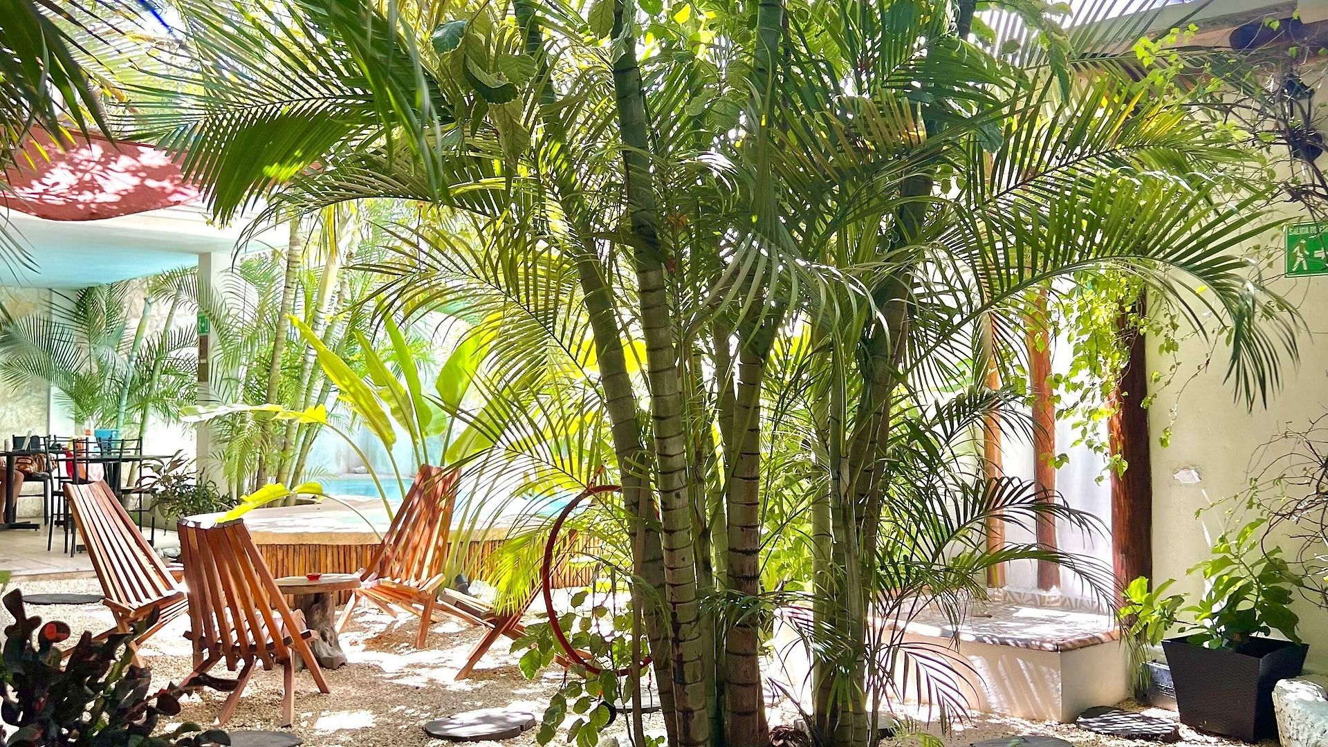 Pacha Boutique Hotel 4*