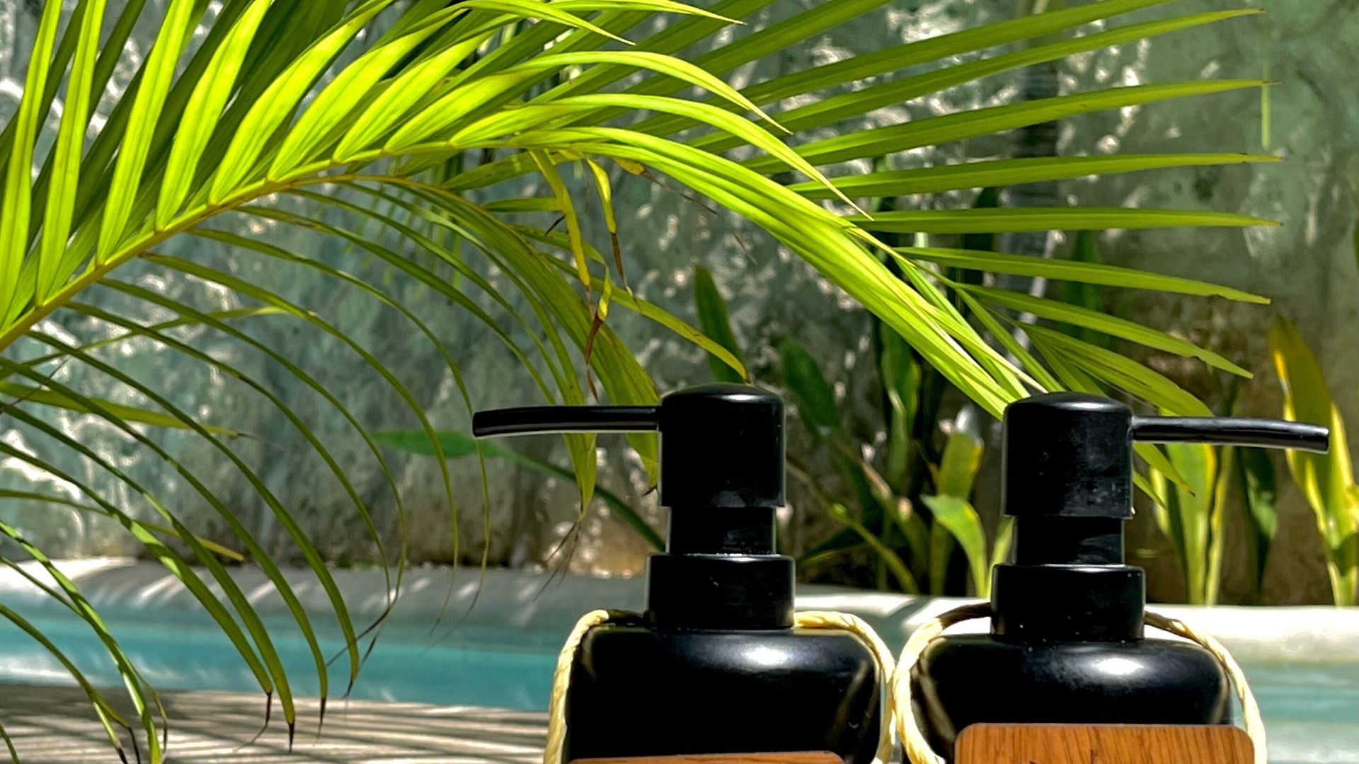 Hotel Pacha Boutique 4*