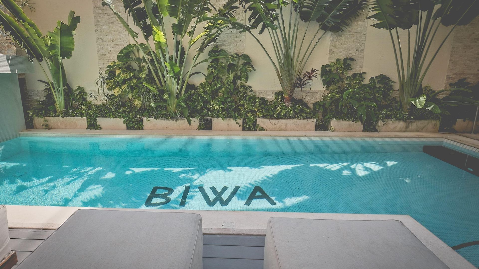 Biwa 4*