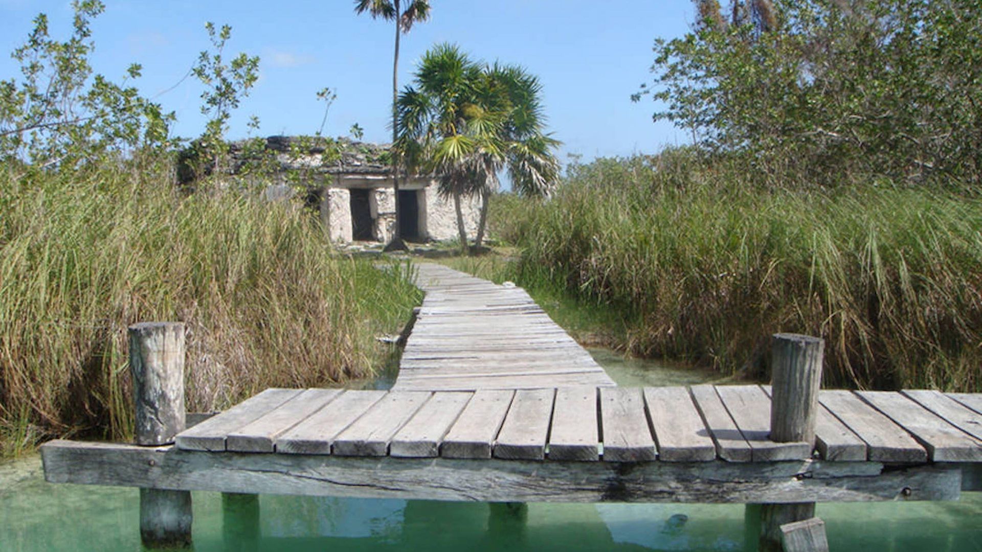 Apartment In The Heart Of - Location In Town Tulum