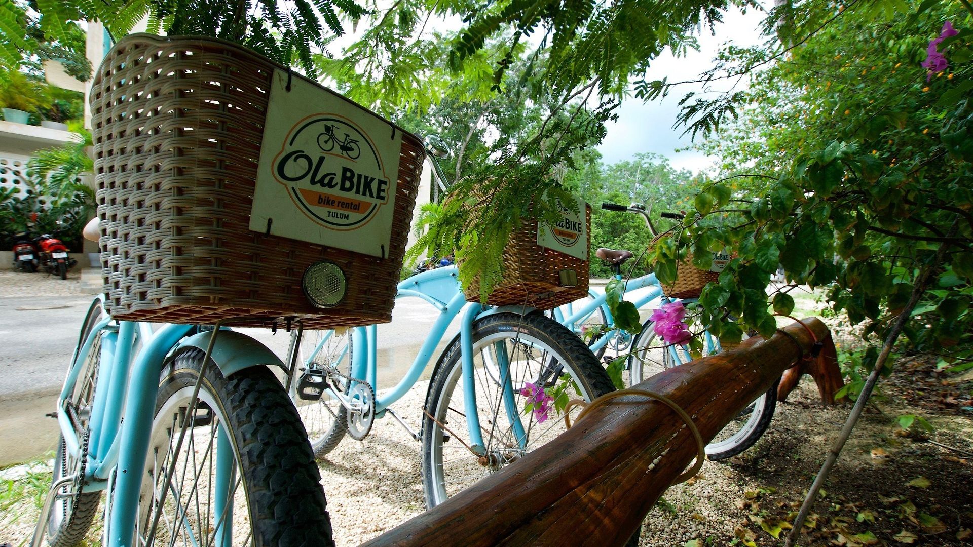 Hotel Tiki Tiki 4*