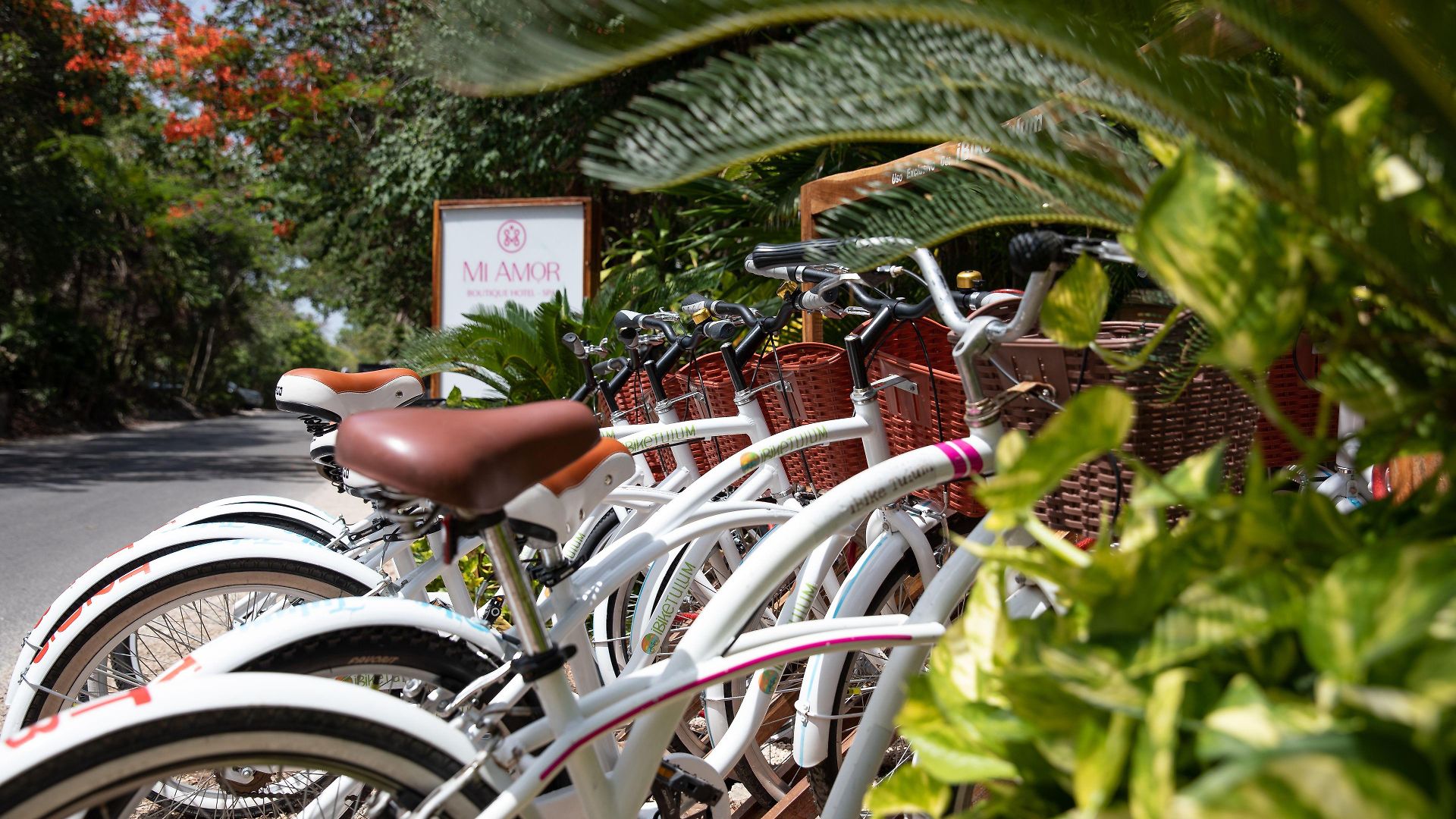 Hotel Mi By La Zebra, An Slh (adults Only) Tulum
