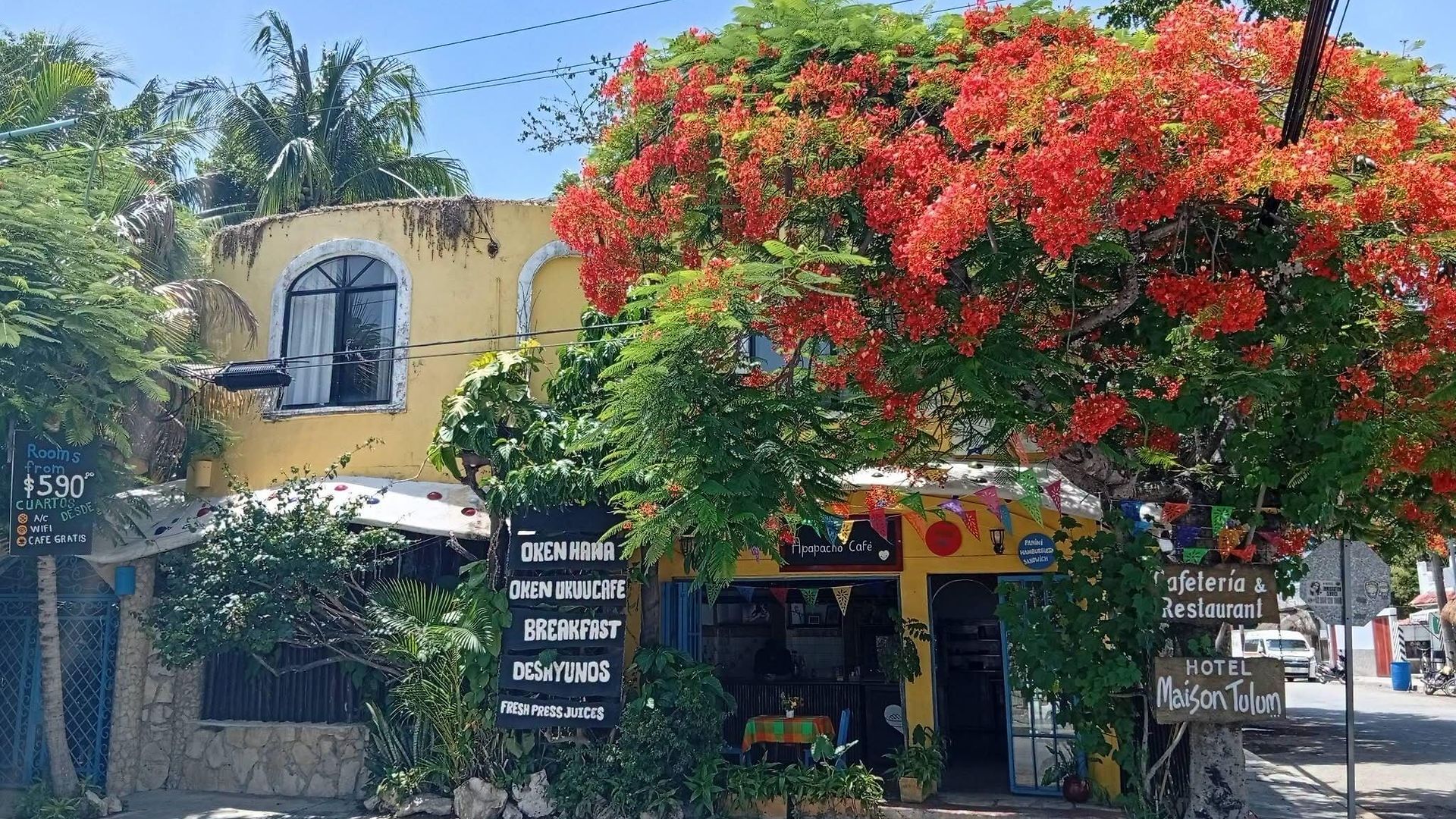 Hotel Maison 3*
