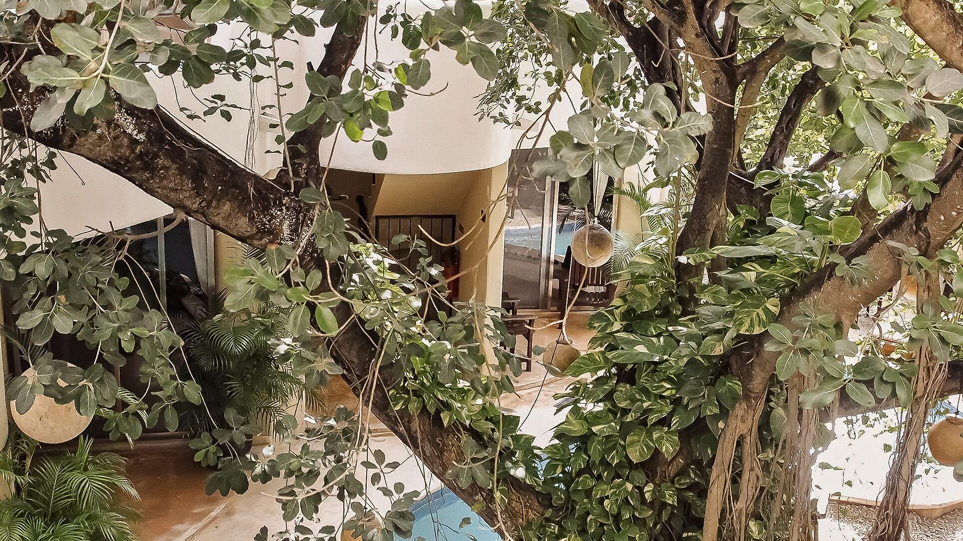Boutique 06 (adults Only) 3*