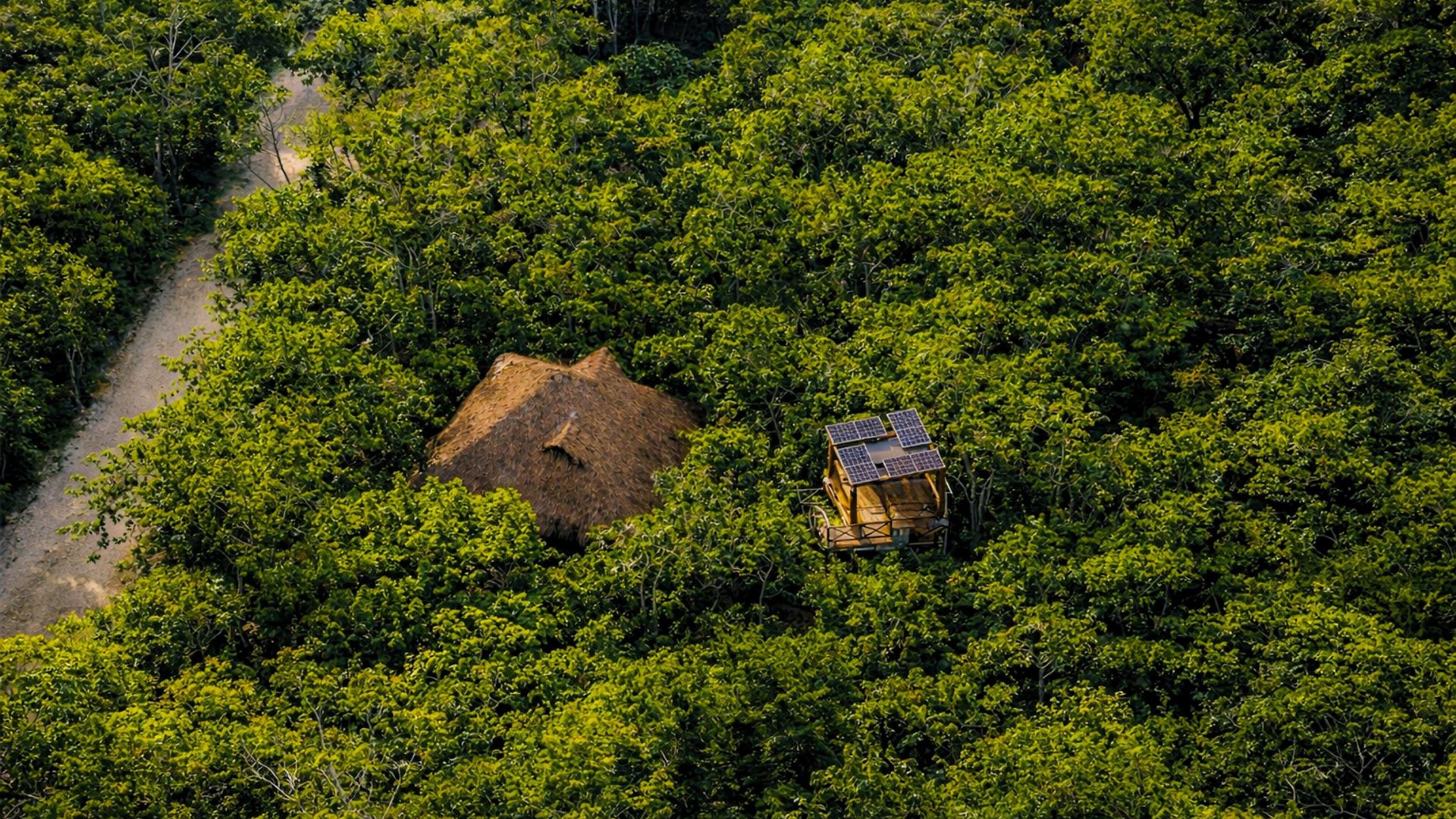 Treehouse H2ojos Tulum