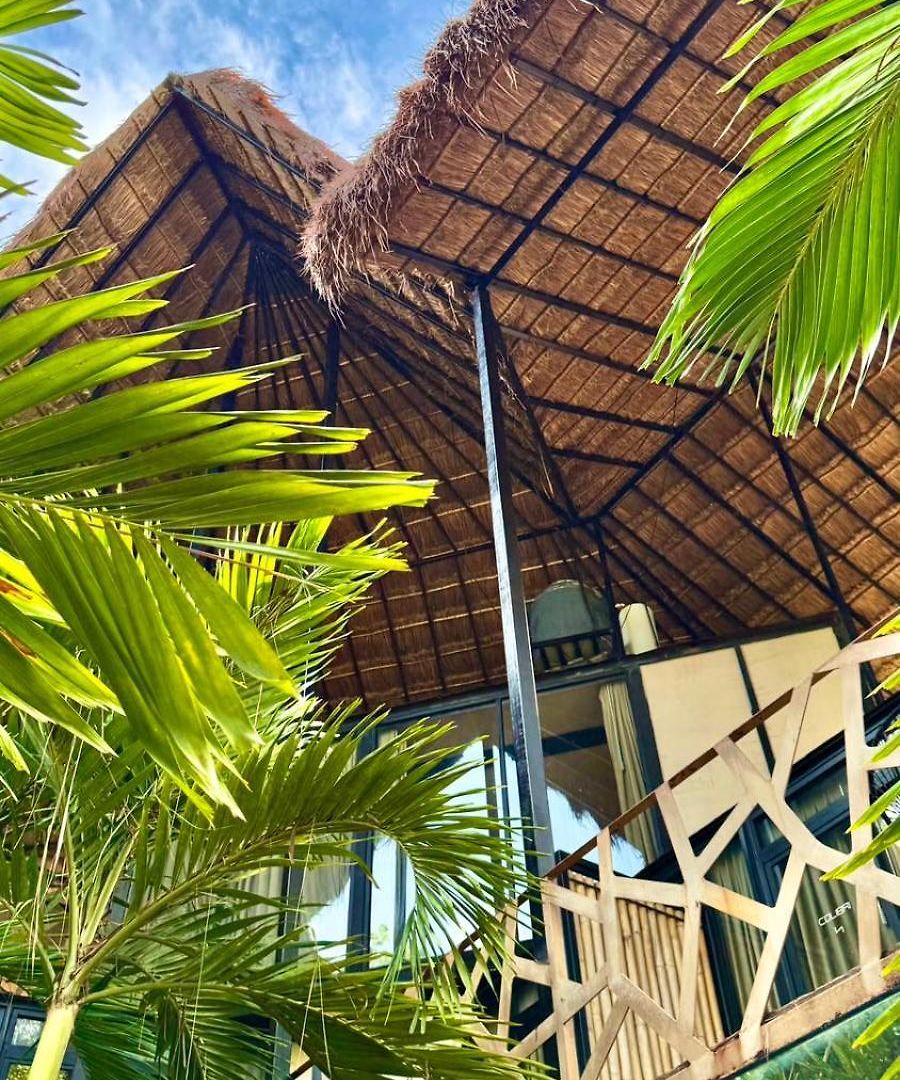 Hotel Bufo Alvarius Tulum