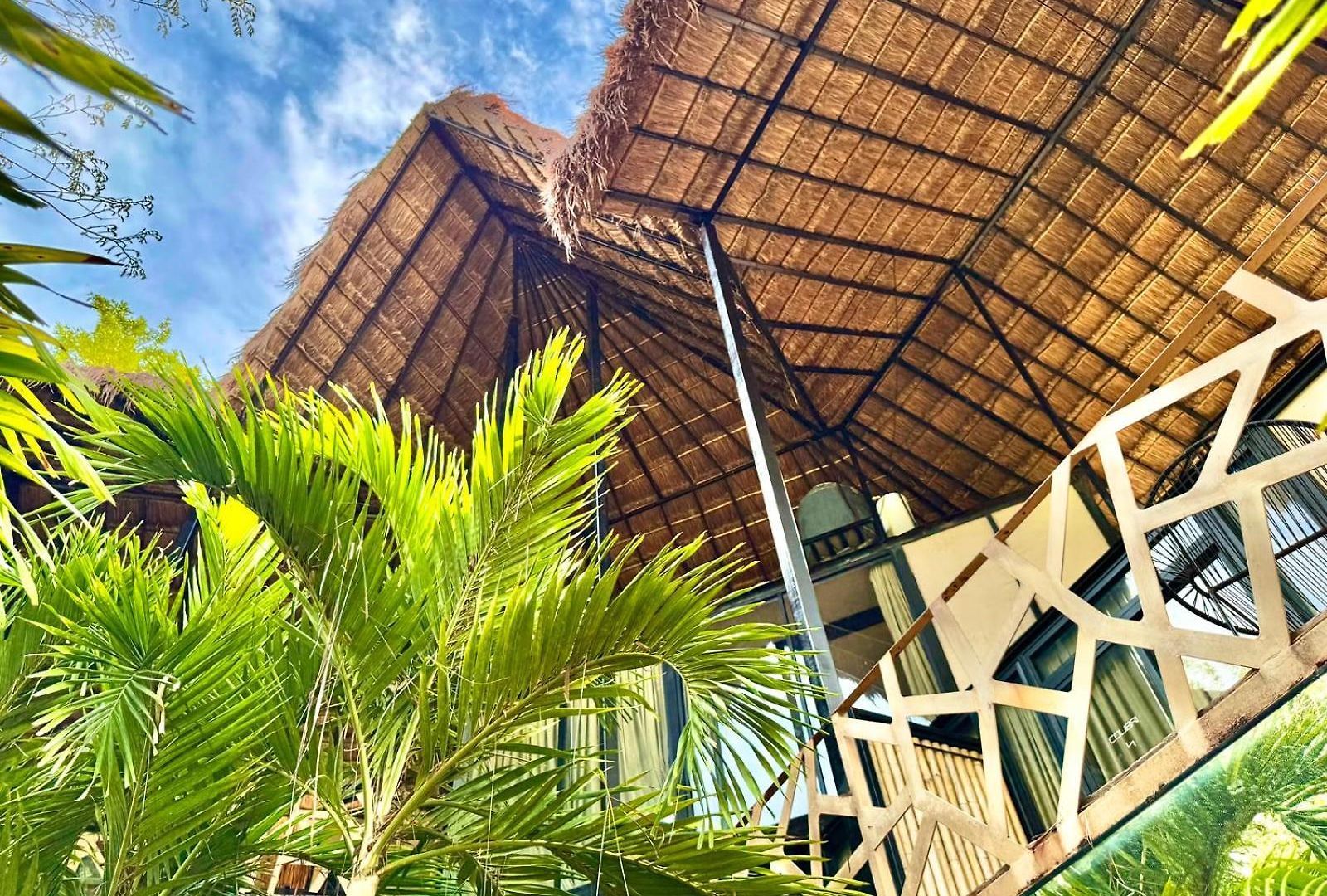 Bufo Alvarius Hotel