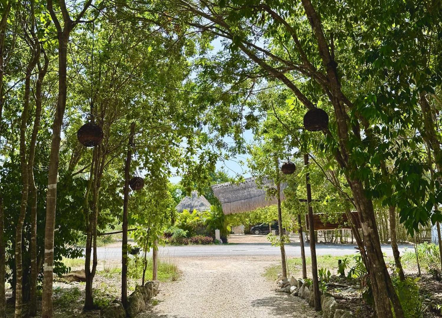 La Selva * Tulum