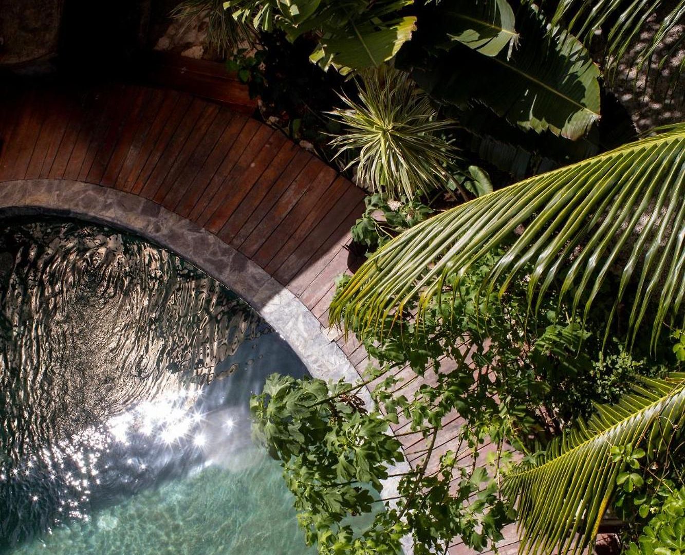 Botanica *