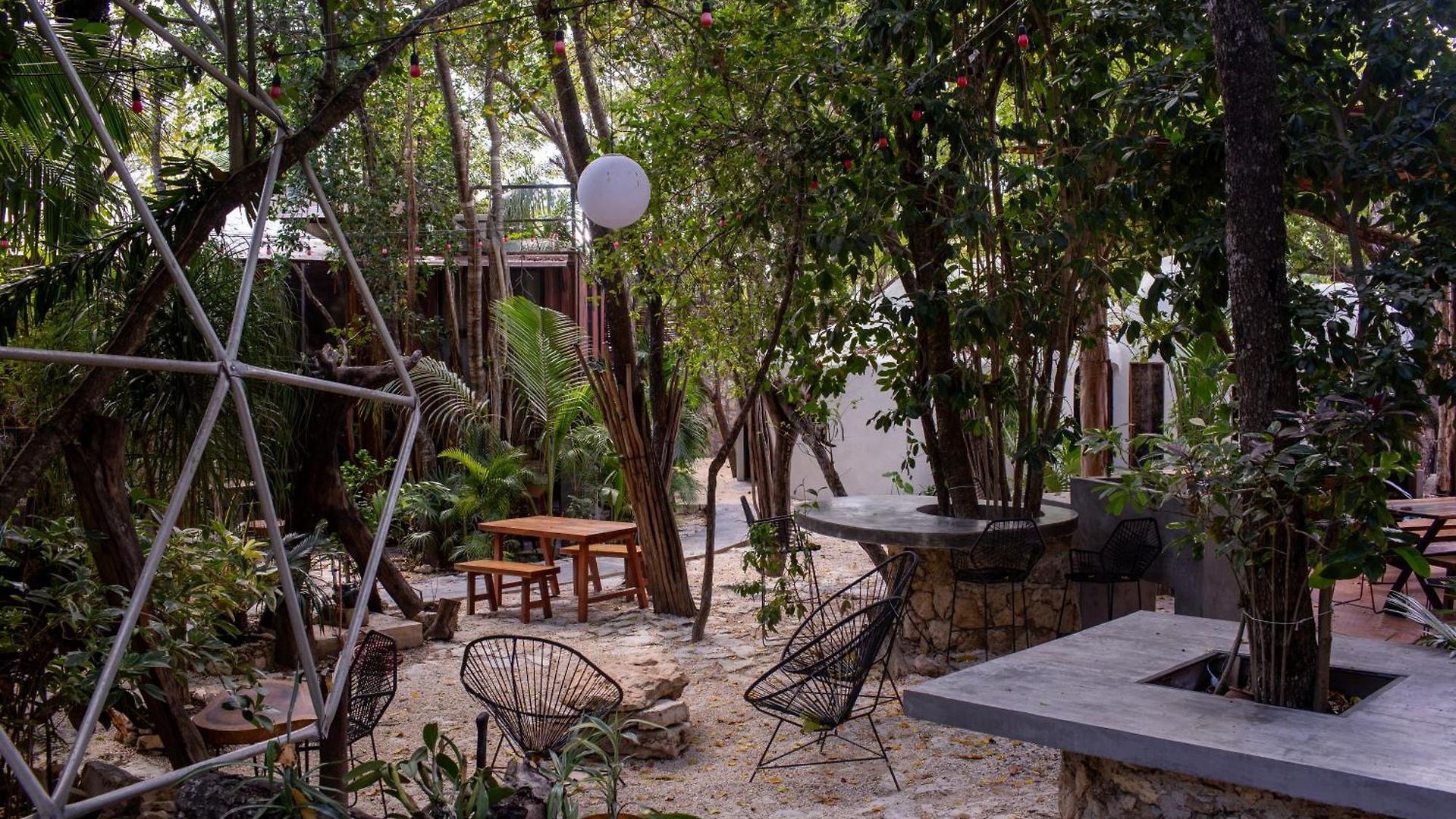 Hotel Botanica *