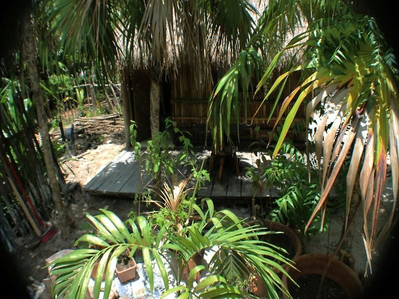 Maya Y Cenote Hotel Tulum