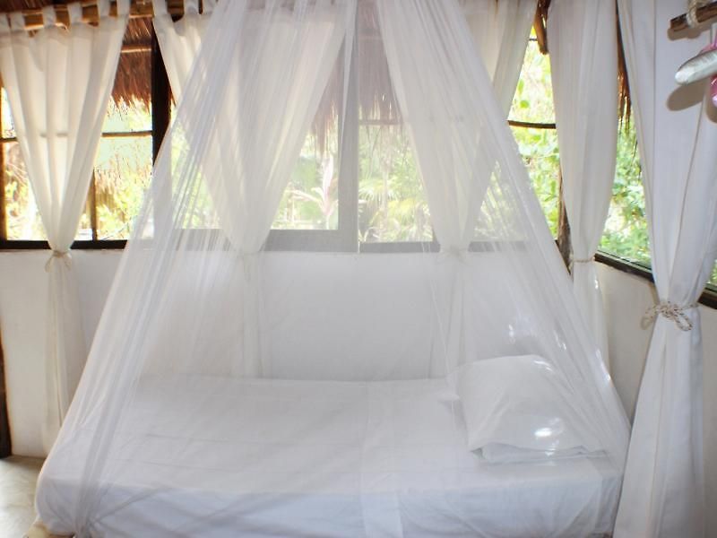 Hotel Maya Y Cenote
