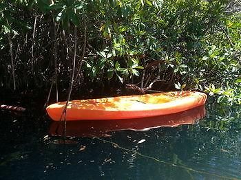 Hotel Manglex Eco Tulum