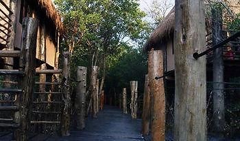 Manglex Eco Tulum