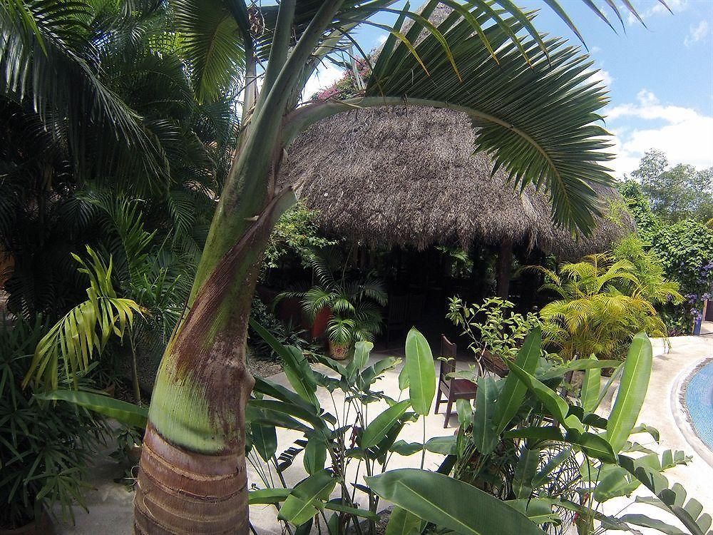 Casa Don Diego 4*