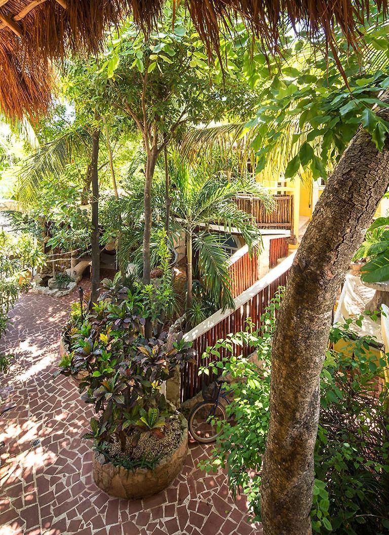 Maison Hotel 3*
