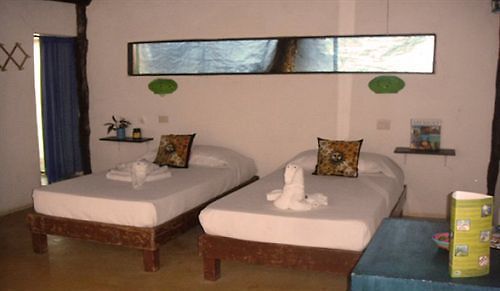 Tunich Jungle 3*
