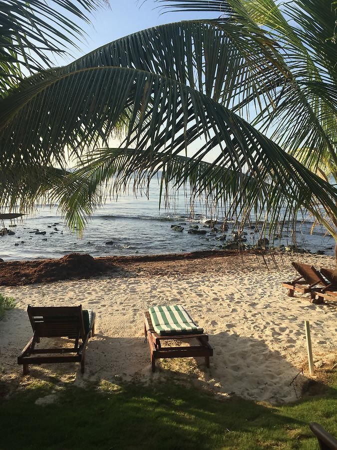 Bed & Breakfast Casa Cenote *