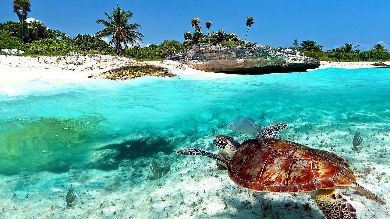 Naay Bej Hotel Tulum