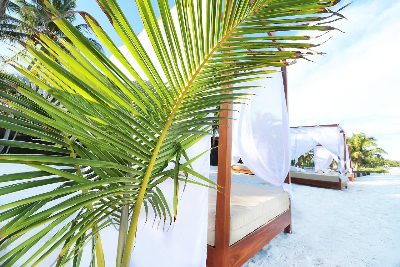 Amigos Boutique 4*