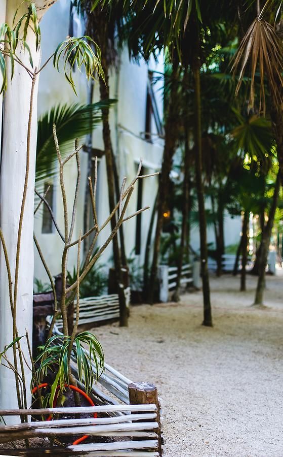 Hotel Casa Ambar & Boutique - Party Side (adults Only) Tulum