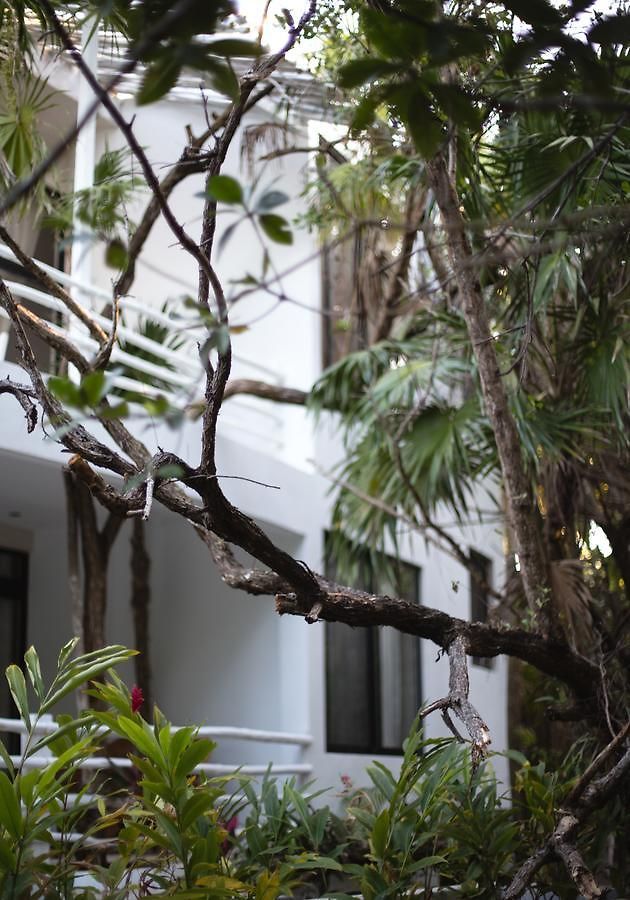 Casa Ambar & Boutique - Party Side (adults Only) Tulum