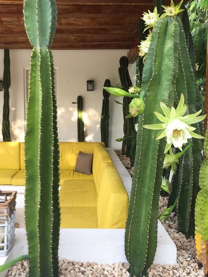 Villa Luxury Private , Private Pool, Private Garden, Jacuzzi, 24hours Security