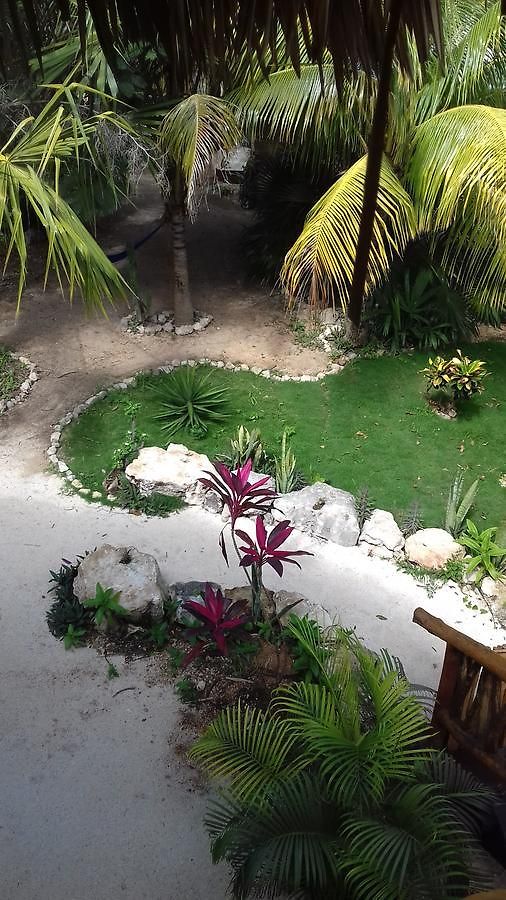 Zamunda Garden View