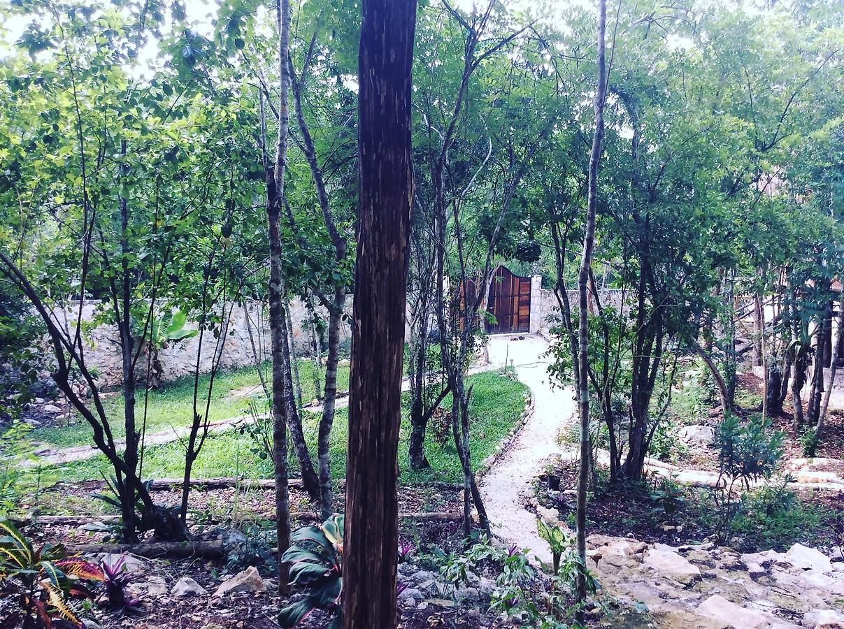 Bed and breakfast Escarabajo Rojo Tulum