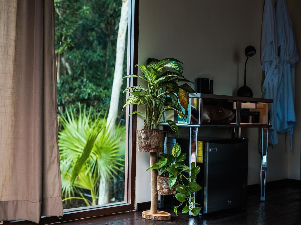 Zamna * Tulum