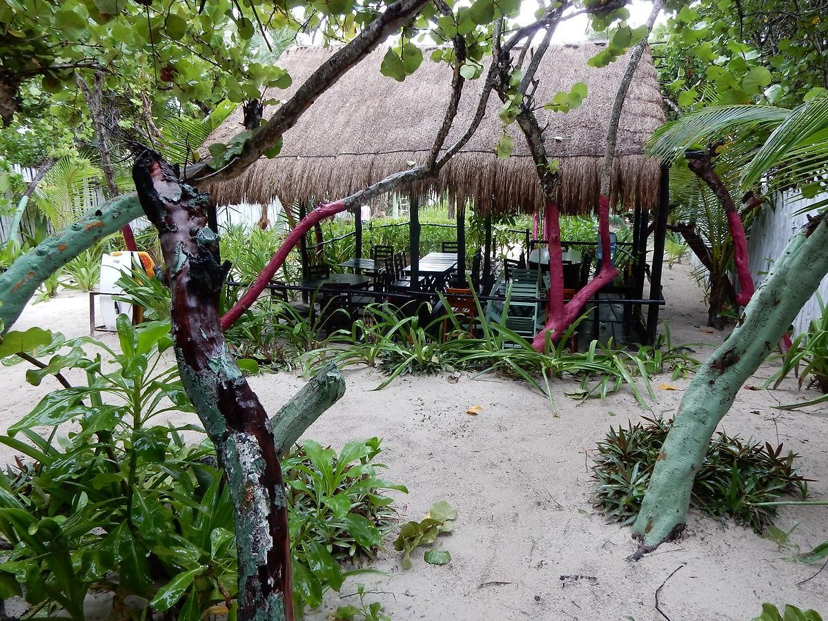 Chancabanita Bed and breakfast