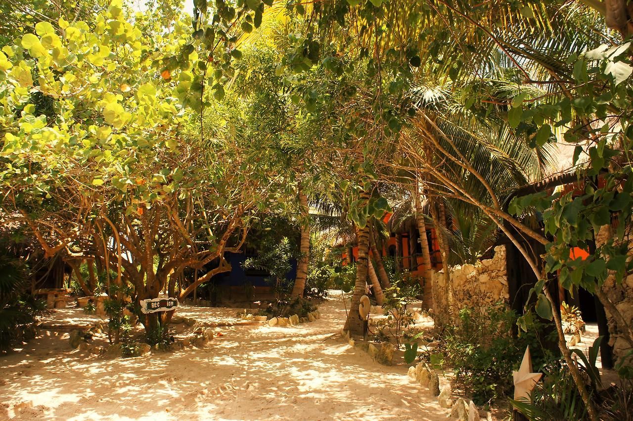 Hotel Cabañas La Luna