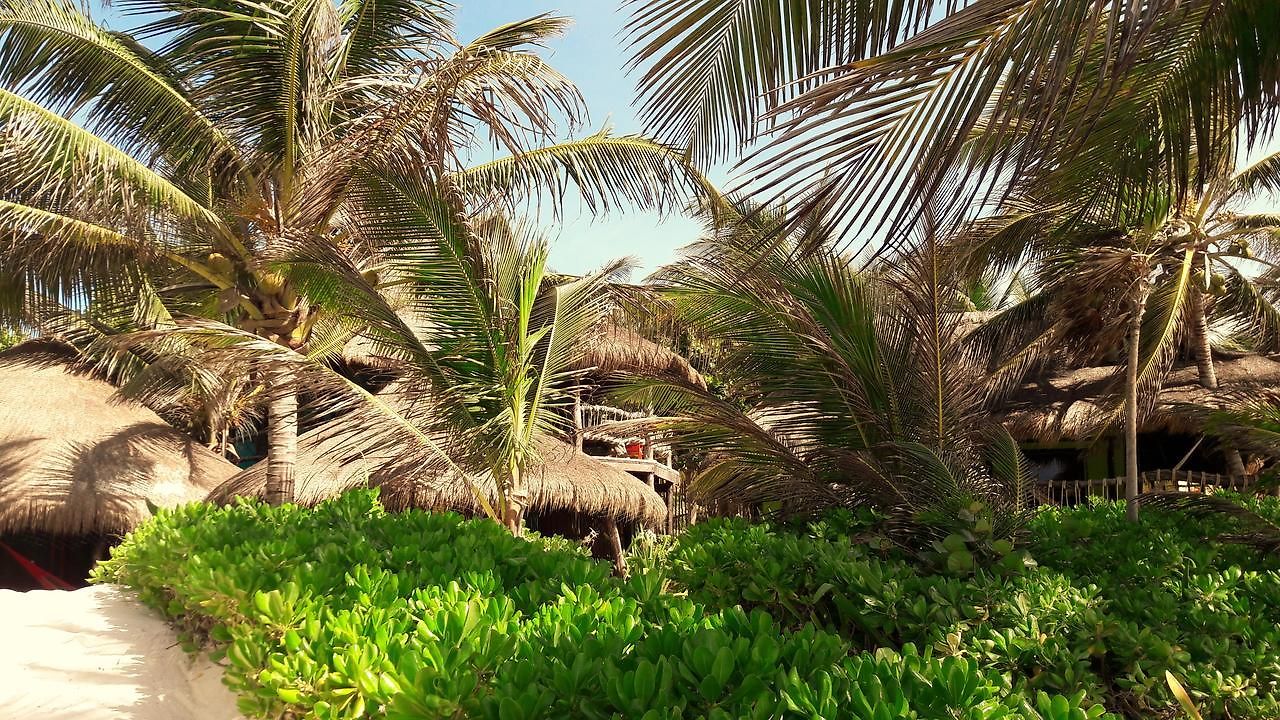 Cabañas La Luna Tulum