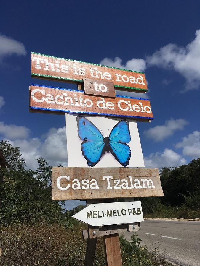Casa Tzalam Selva Bed and breakfast 4*