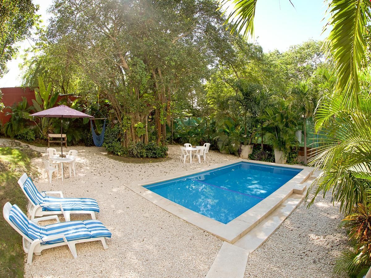 Mango 3*