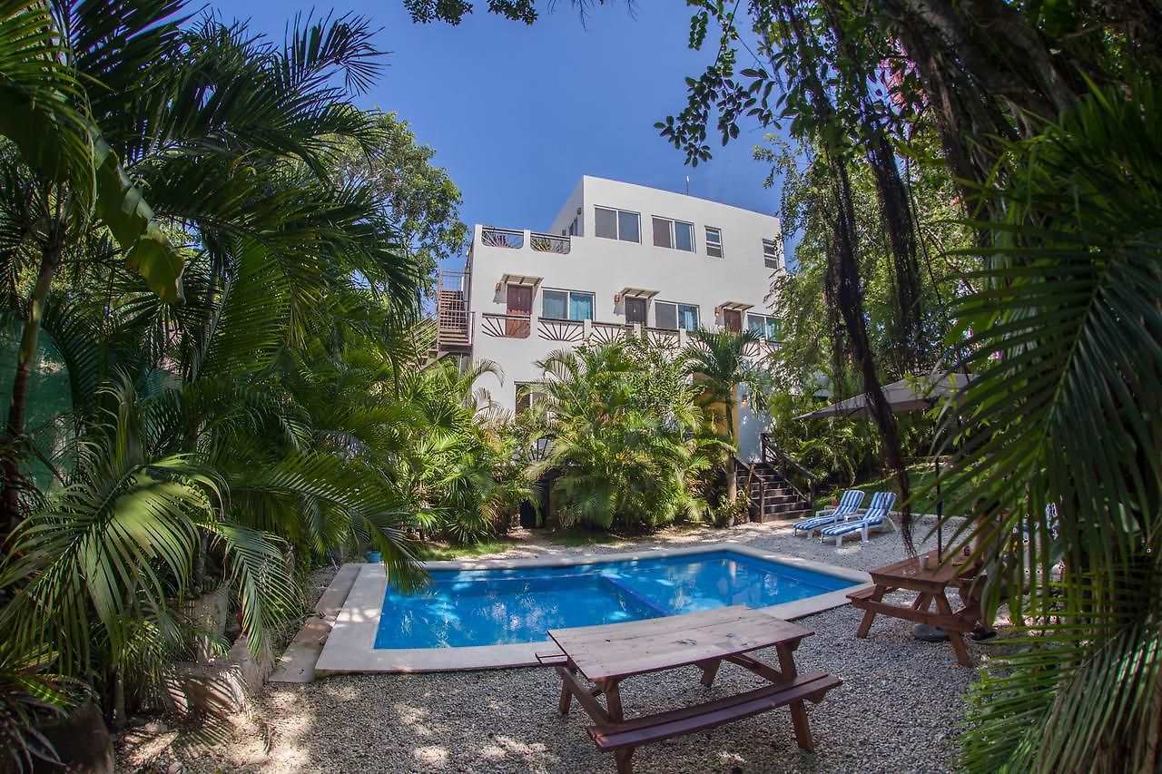 Hotel Mango 3*