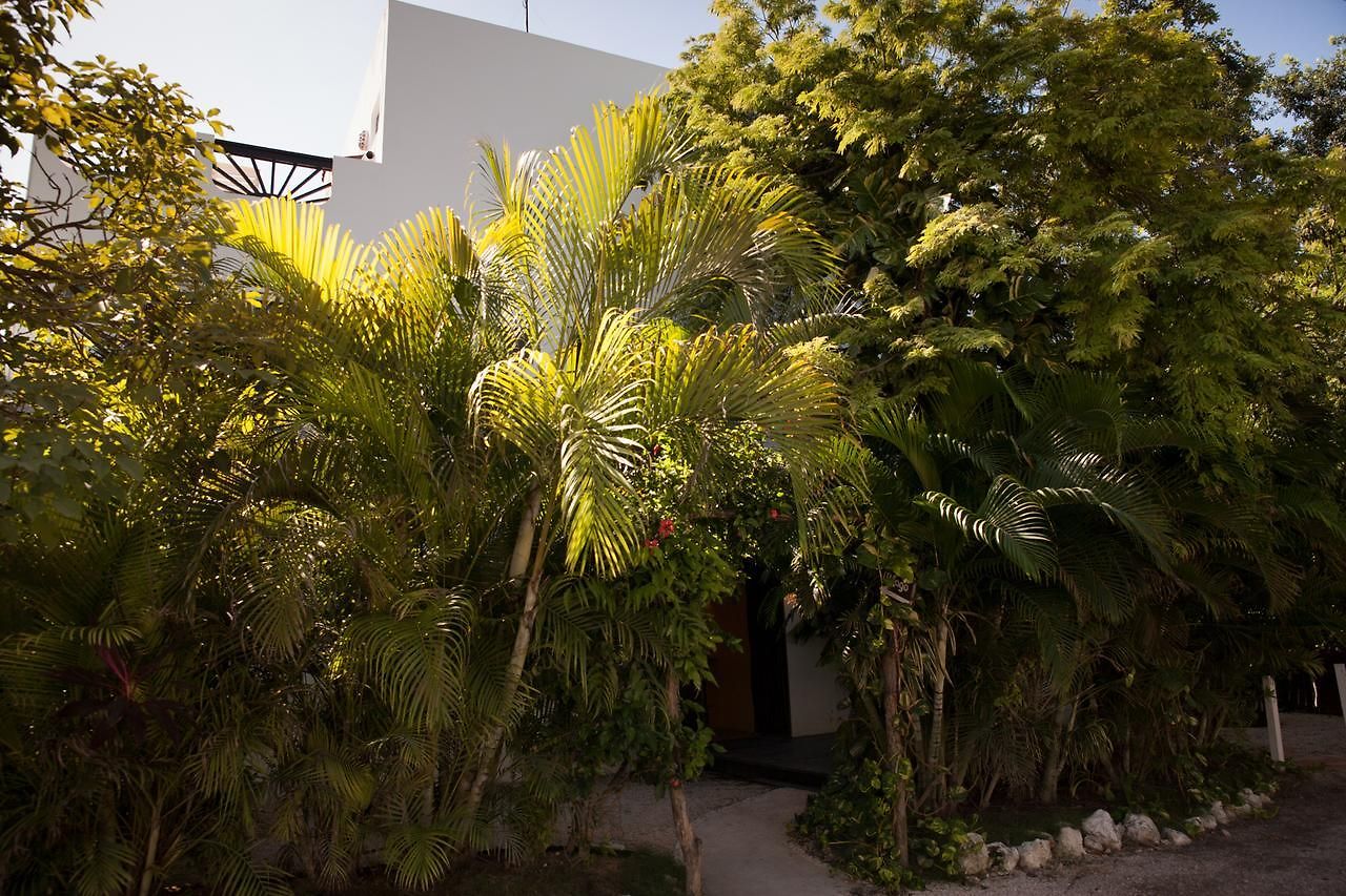 Hotel Mango