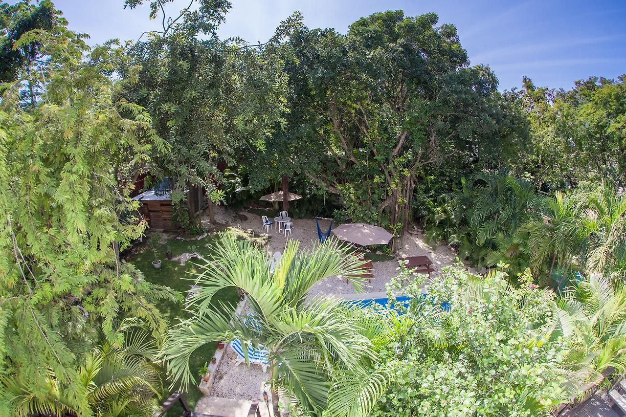 Mango Hotel 3*