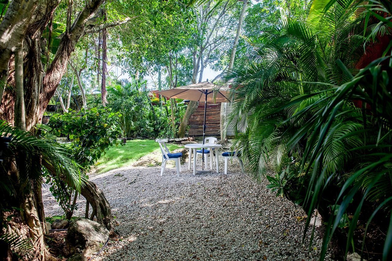 Mango Tulum