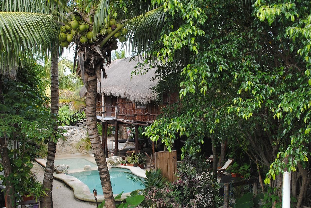 Hostal Lobo Inn Tulum Tulum