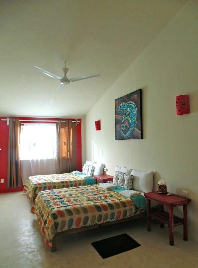 Art Hotel Tulum