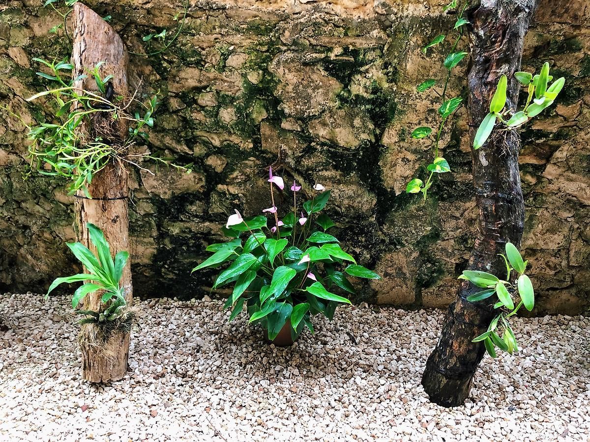 Boutique Jabin Tulum