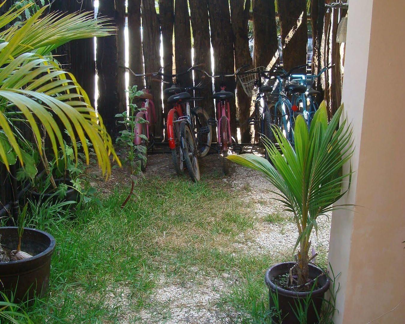 Hotel Andrea's 3*