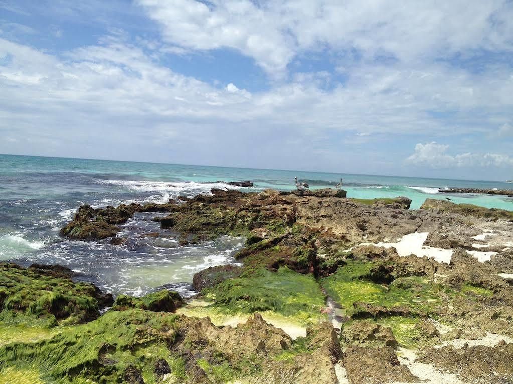 Caleta Tankah Hotel 3*
