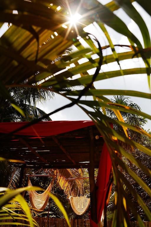 Apartamento Casa Selva De Luz