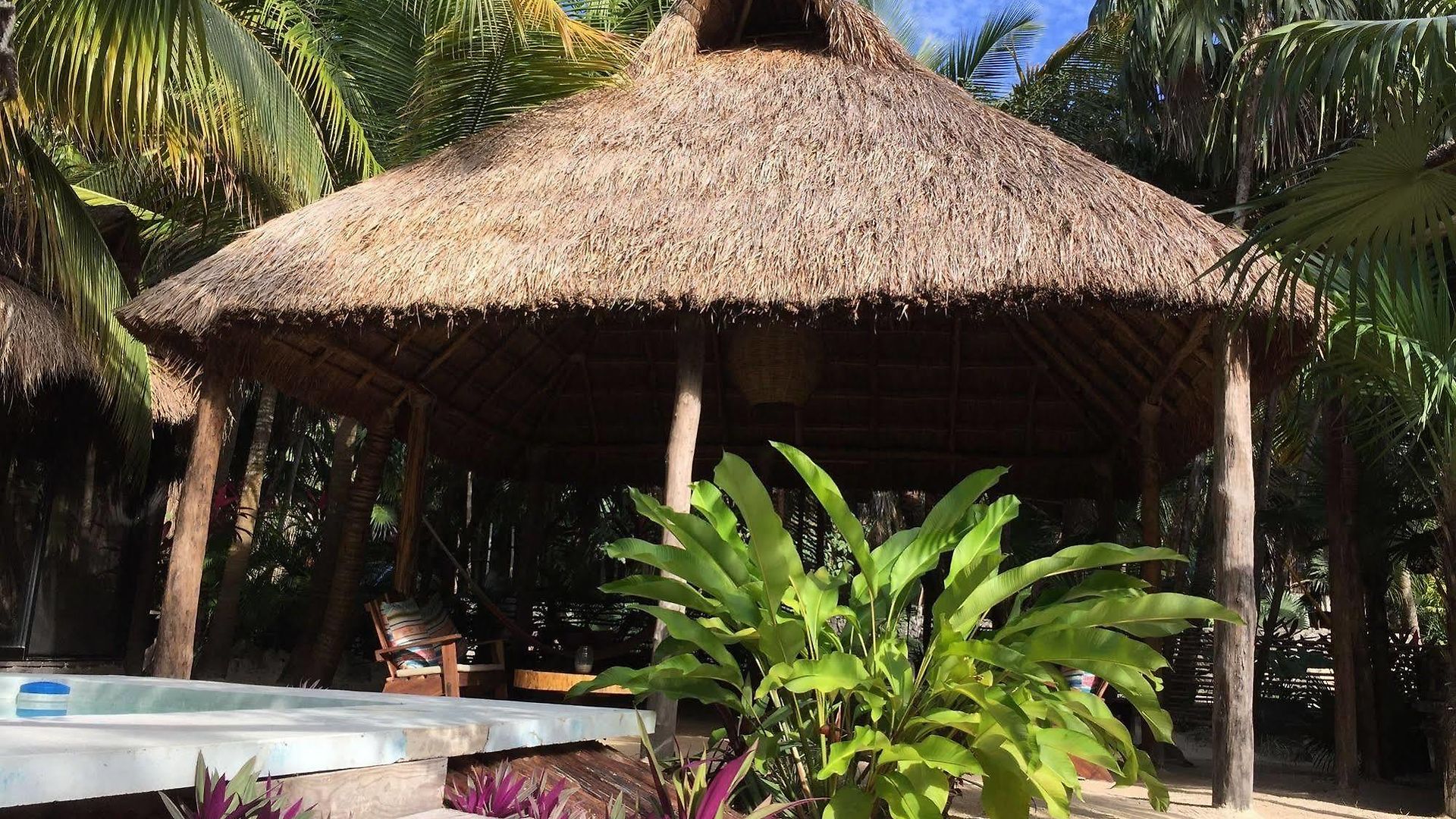 Hotel Manglex Eco 3*