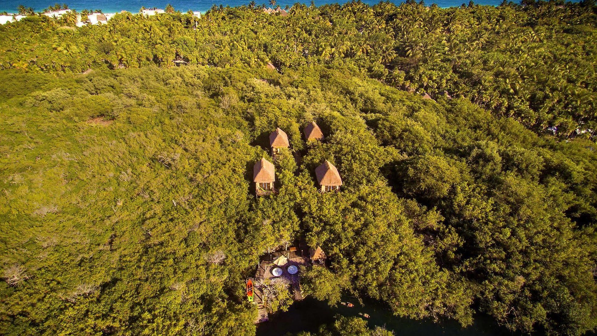 Hotel Manglex Eco