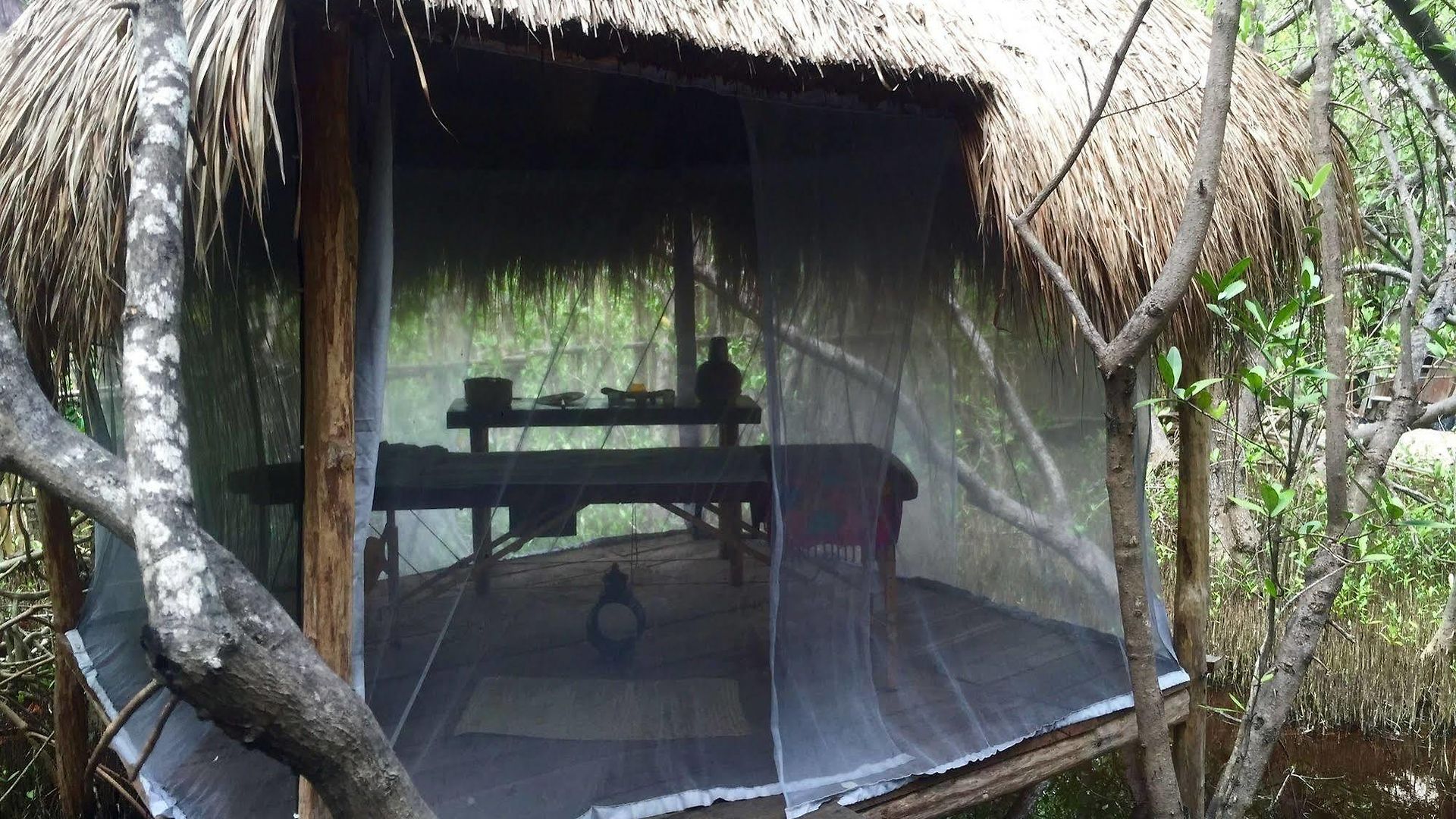 Hotel Manglex Eco